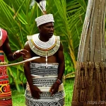 베냉에서 국제 음악 페스티벌 - **Benin International Music Festival - Cultural Fusion Celebration**
"A vibrant outdoor music fe...